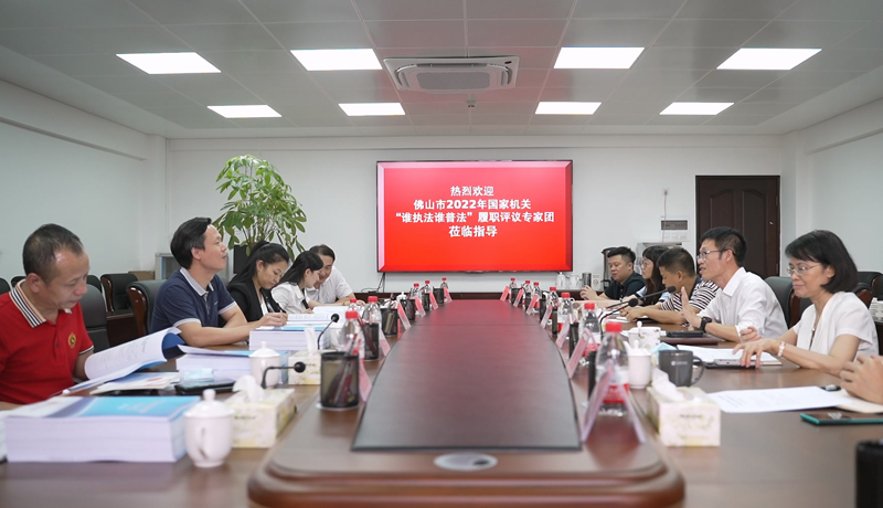 2.市审计局伍志强局长向评议团介绍普法工作情况.jpg